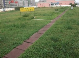 中國(guó)風(fēng)景園林網(wǎng) 國(guó)內(nèi)動(dòng)態(tài)