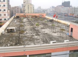 中國(guó)風(fēng)景園林網(wǎng) 國(guó)內(nèi)動(dòng)態(tài)