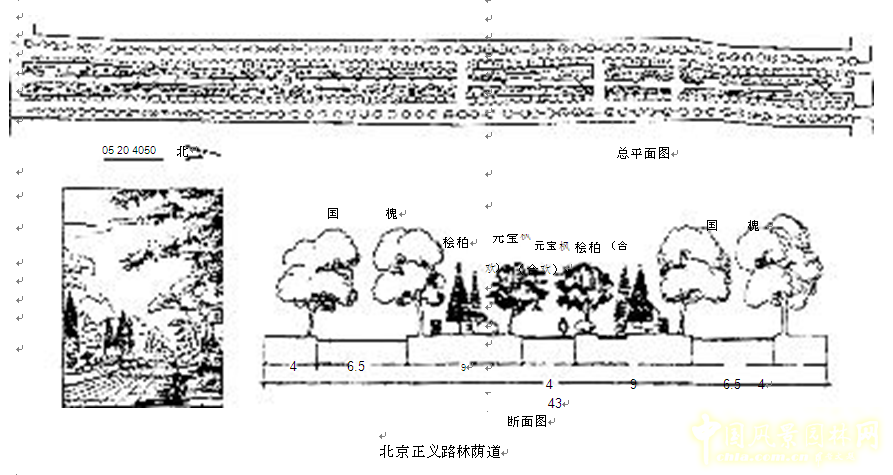 劉秀晨 綠色的云 北京 城市道路 綠化 中國(guó)風(fēng)景園林網(wǎng)