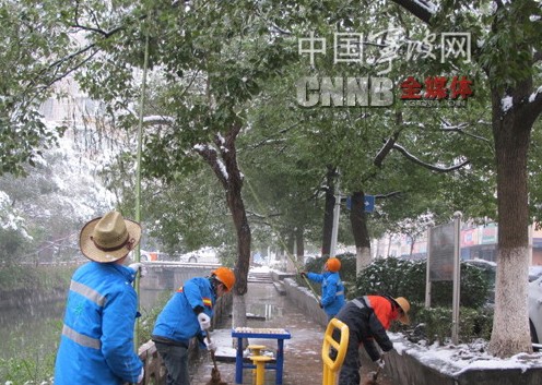 園林 行道樹 養(yǎng)護管理