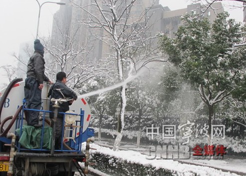 園林 行道樹 養(yǎng)護管理