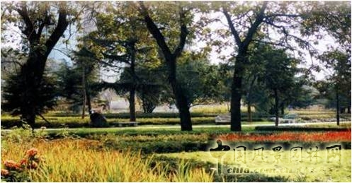 豐慶公園