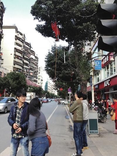 樹掛彩燈 行道樹 