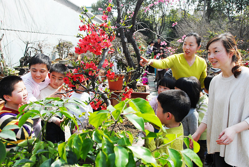 中國風(fēng)景園林網(wǎng) 植物造景
