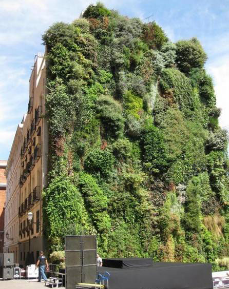 綠色建筑 垂直花園