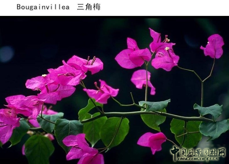 設(shè)計師 設(shè)計理念 景觀設(shè)計 體驗式設(shè)計