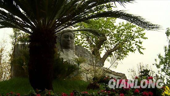 從貴州移植過來的鐵樹。千龍網(wǎng)記者 鄭濤 攝