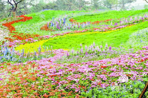 金魚草 草花 造景