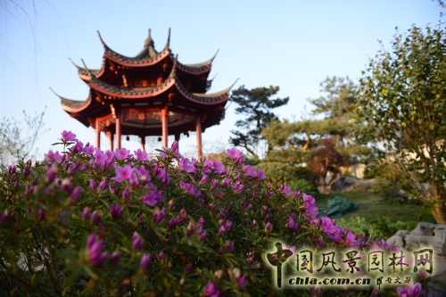 杭州園