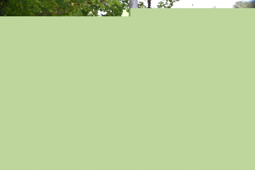 拉維萊特公園