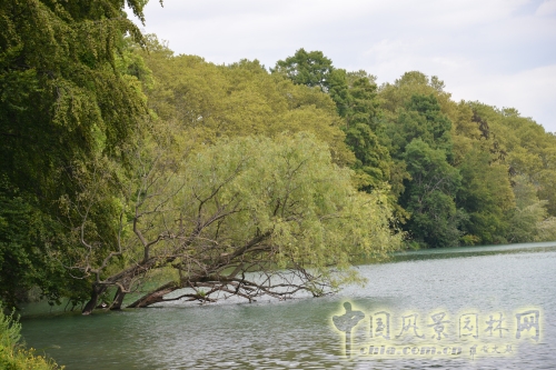 金頭公園