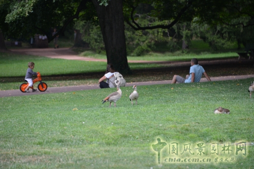 金頭公園