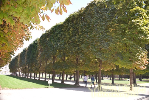 盧森堡公園 景觀設計 法國考察