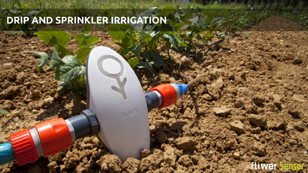 Fliwer:監控植物狀態 實現遠程澆水