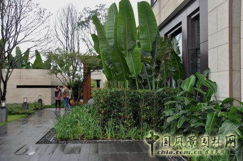 住宅景觀獎(jiǎng) 園林工程 重慶星耀天地會(huì)所示范區(qū)