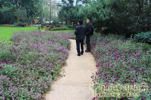 住宅景觀獎 園林景觀 成都世貿(mào) 成都世貿(mào)猛追灣項目