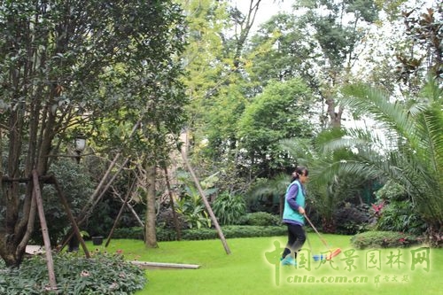 住宅景觀獎 園林景觀 成都世貿(mào) 成都世貿(mào)猛追灣項目
