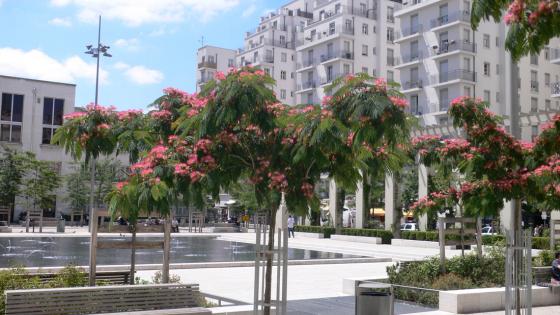 法國維勒班LazareGoujon廣場