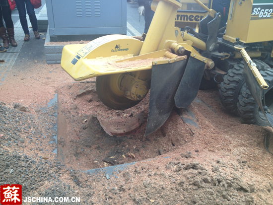 南京市園林局引進(jìn)樹樁刨碎機(jī) 