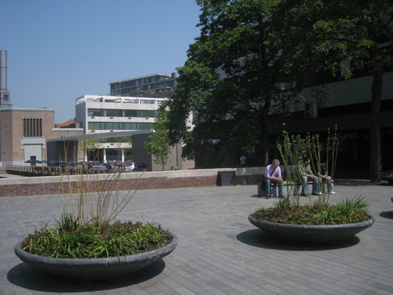 鹿特丹城市運河