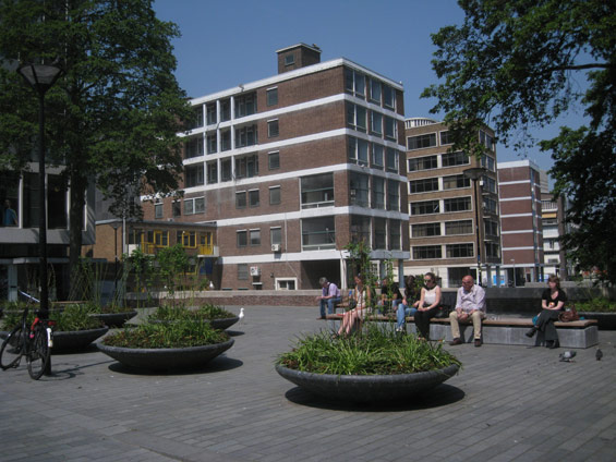 鹿特丹城市運河