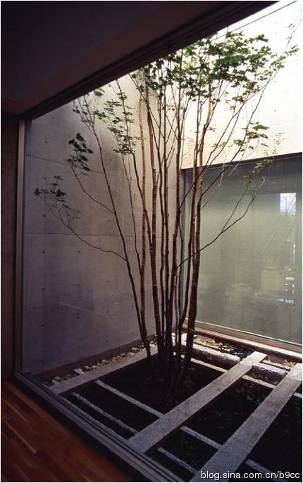 清里攝影美術(shù)館景觀設(shè)計
