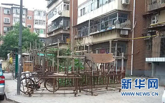 居民區(qū)內占用綠地蓋成的小菜園