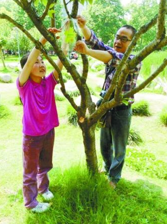 涂先生父女在解放公園里給認(rèn)養(yǎng)的樹(shù)木掛牌。