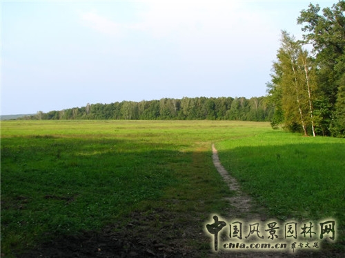 雅斯納亞?波良納