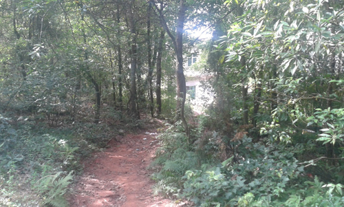 趙兵 LID理論 貴溪公園 休閑綠地