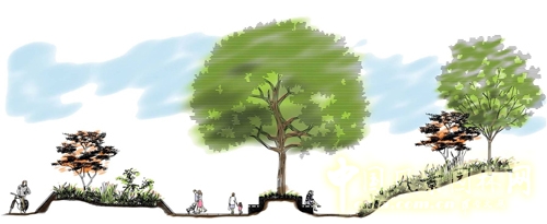 趙兵 LID理論 貴溪公園 休閑綠地