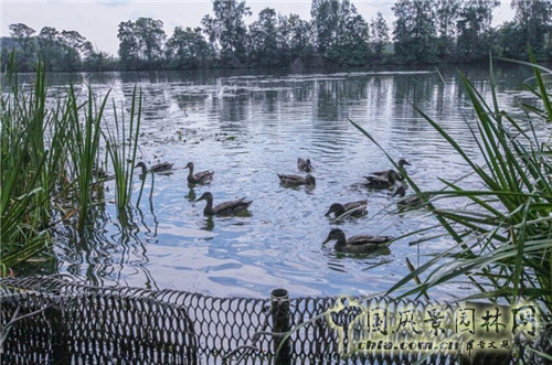 阿爾漢格爾斯克莊園