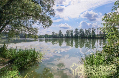 阿爾漢格爾斯克莊園