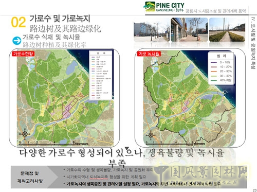 趙泰東：韓國江陵市城市林建設(shè)和管理計劃