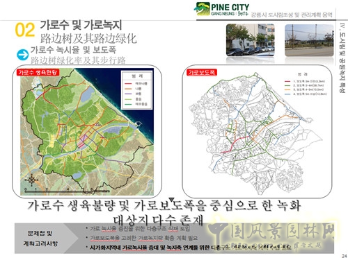 趙泰東：韓國江陵市城市林建設(shè)和管理計劃