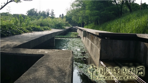 韓國(guó)仙游島公園