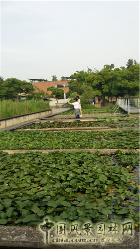 韓國(guó)仙游島公園