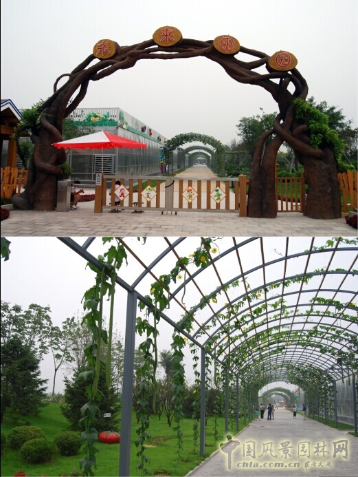 泰安花樣年華 景觀設(shè)計 農(nóng)業(yè)生態(tài)園