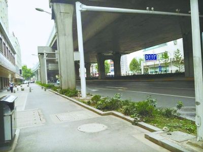 沿著發(fā)展大道自西向東約200米路段，其綠化帶中栽種了一些低矮雜亂的灌木叢，未見綠樹