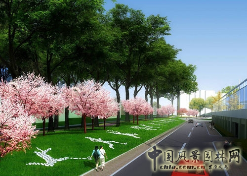 山東大學(xué) 景觀設(shè)計 環(huán)境設(shè)計 景觀方案