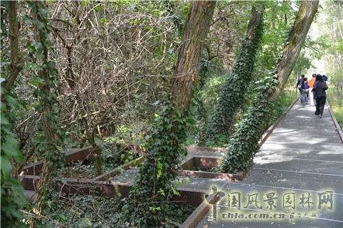 德國(guó)Südgel?nde自然公園 