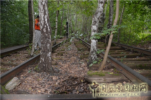 德國Südgel?nde自然公園 