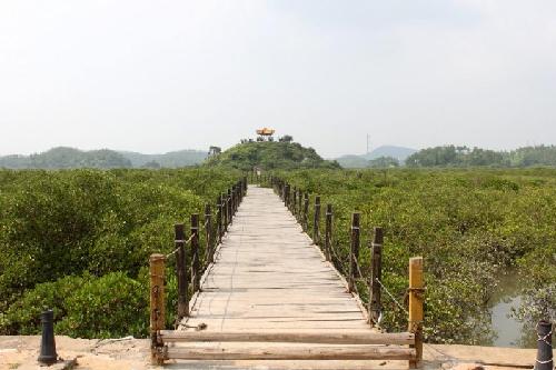 欽州茅尾海紅樹(shù)林生態(tài)濕地