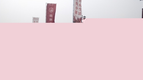 園冶杯 海爾格林小鎮(zhèn) 園林景觀工程