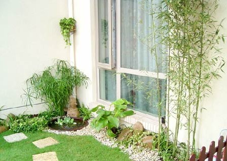 向陽而生的草木 帶你享受陽臺(tái)花園燦爛時(shí)光
