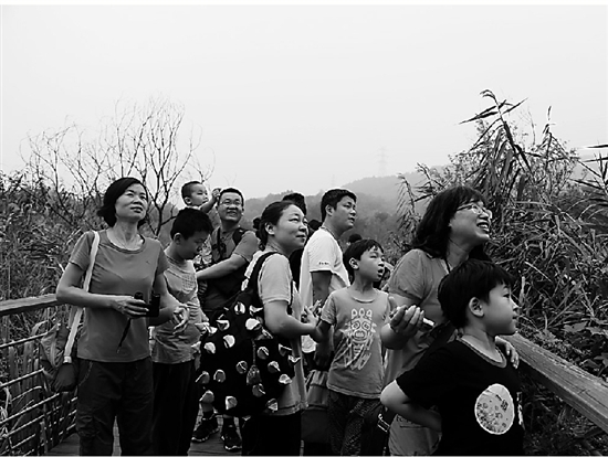景區(qū)公園 江洋畈公園 西湖景區(qū) 親子活動