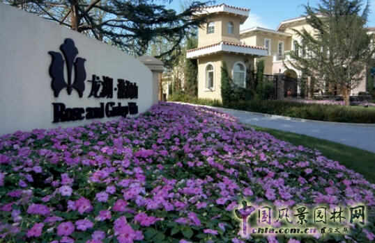 R-land北京源樹景觀作品——地產景觀類(一)