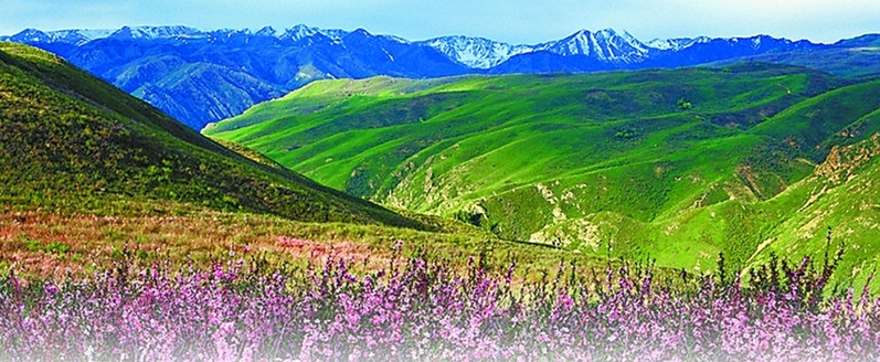 巴爾魯克山國家級自然保護區景色。