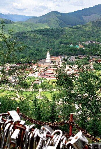 違建別墅 五臺山 違法占地 政令監管