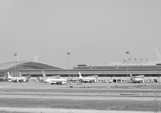 南昌 古樹名木 機場綠化 花卉苗木